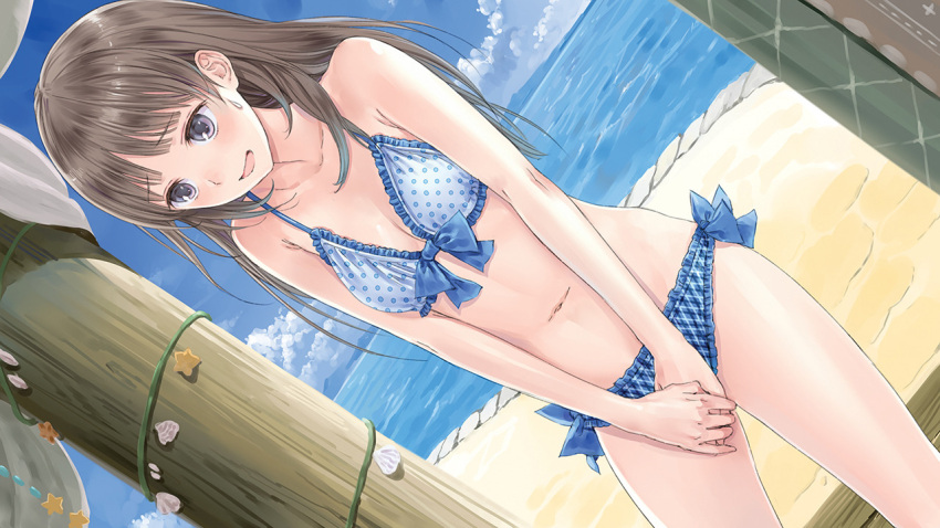 atelier_(series), atelier_totori, bikini, breasts, brown_hair, cleavage, cloud, covering