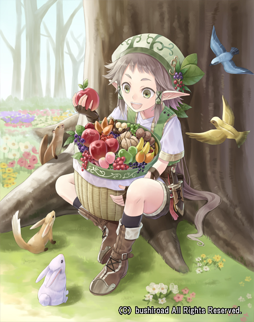 :d, apple, bandana, bandanna, basket, bird, boots, brown_hair, bunny, cardfight!!_vanguard, fingerless_gloves, food, fruit, fruit_basket_elf, gloves, grass, green_eyes, hair_tubes, hat, holding, knife, neo_nectar, open_mouth, pointy_ears, rabbit, shorts, sitting, smile, solo, tadokoro_teppei, tree, watermark