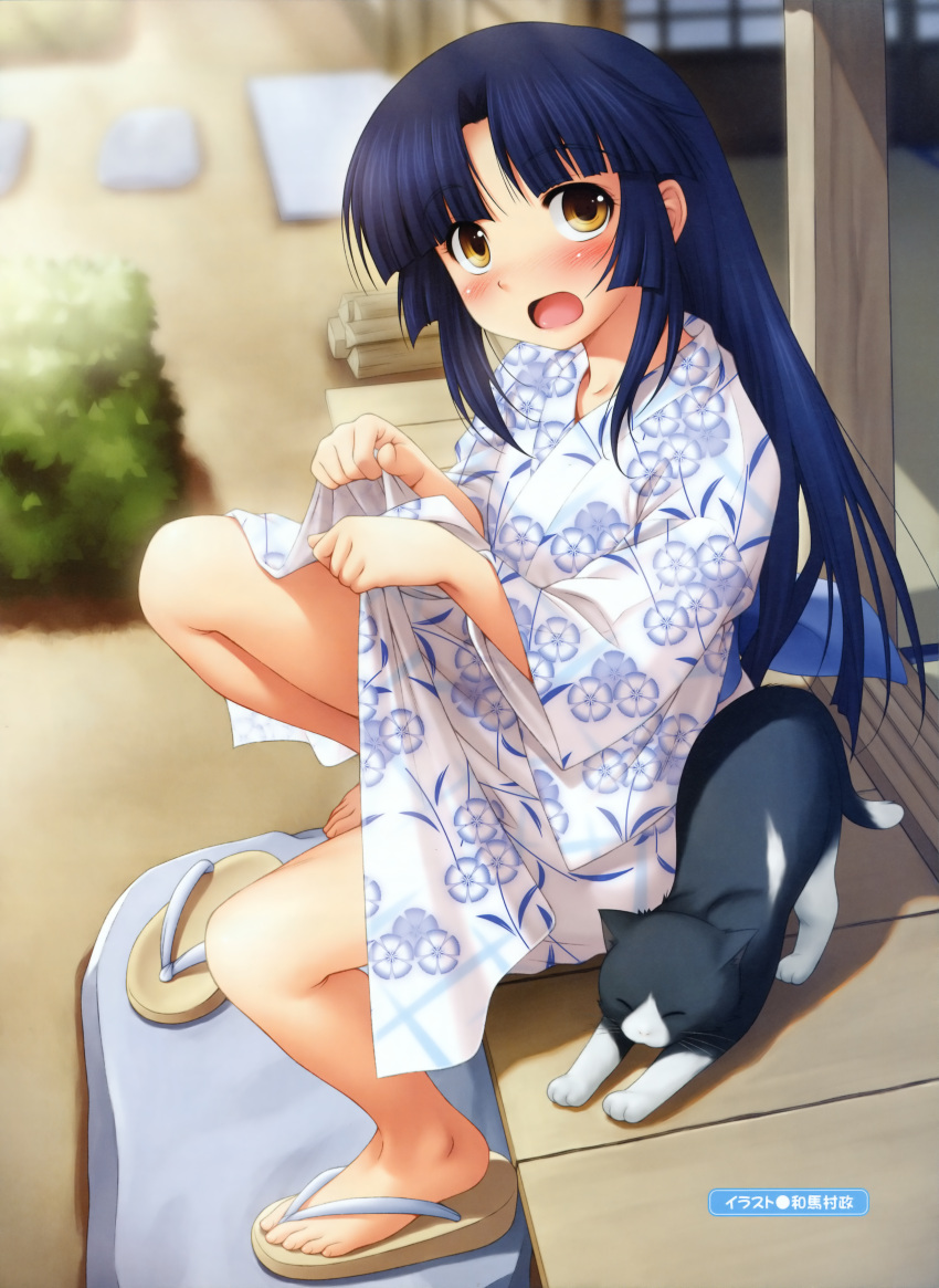 :o, bangs, barefoot, blue_hair, blunt_bangs, blush, cat, feet
