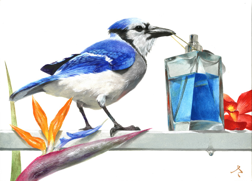 bird, bird_of_paradise, blue_jay, chons-48, flower, highres, mouth_hold, no_humans
