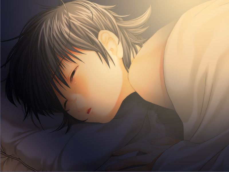 brown_eyes, crying, ein, elen, game_cg, grey_hair, phantom_of_inferno, phatnom_integration
