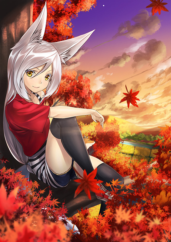 animal_ears, autumn_leaves, black_legwear, cloud, clouds, fox_ears, fox_tail, kyon_(fuuran)