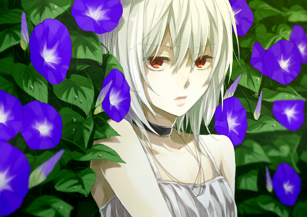 6w6y, accelerator, albino, choker, dress, flower, genderswap, leaf