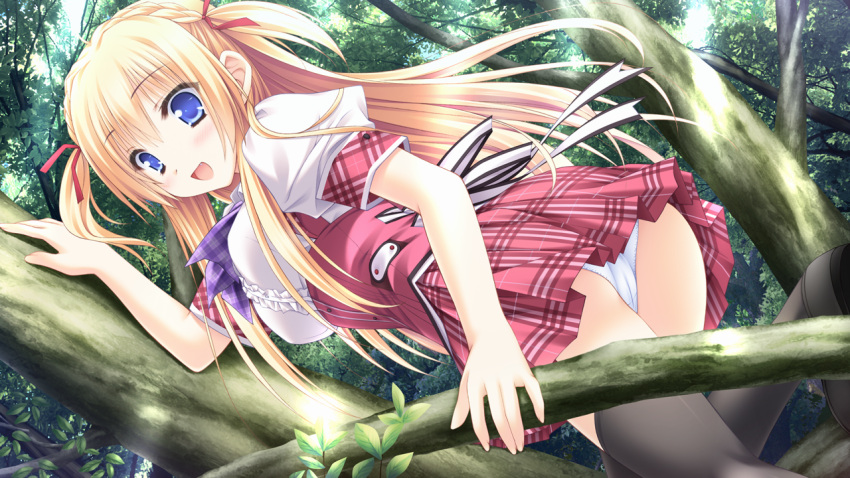 :d, black_legwear, blonde_hair, blue_eyes, blush, climbing, game_cg, hanairo_heptagram