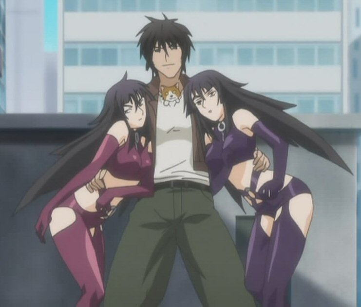cap, cat, hibiki, hibiki_(sekirei), hikari, hikari_(sekirei), kaoru_seo, sekirei, twins