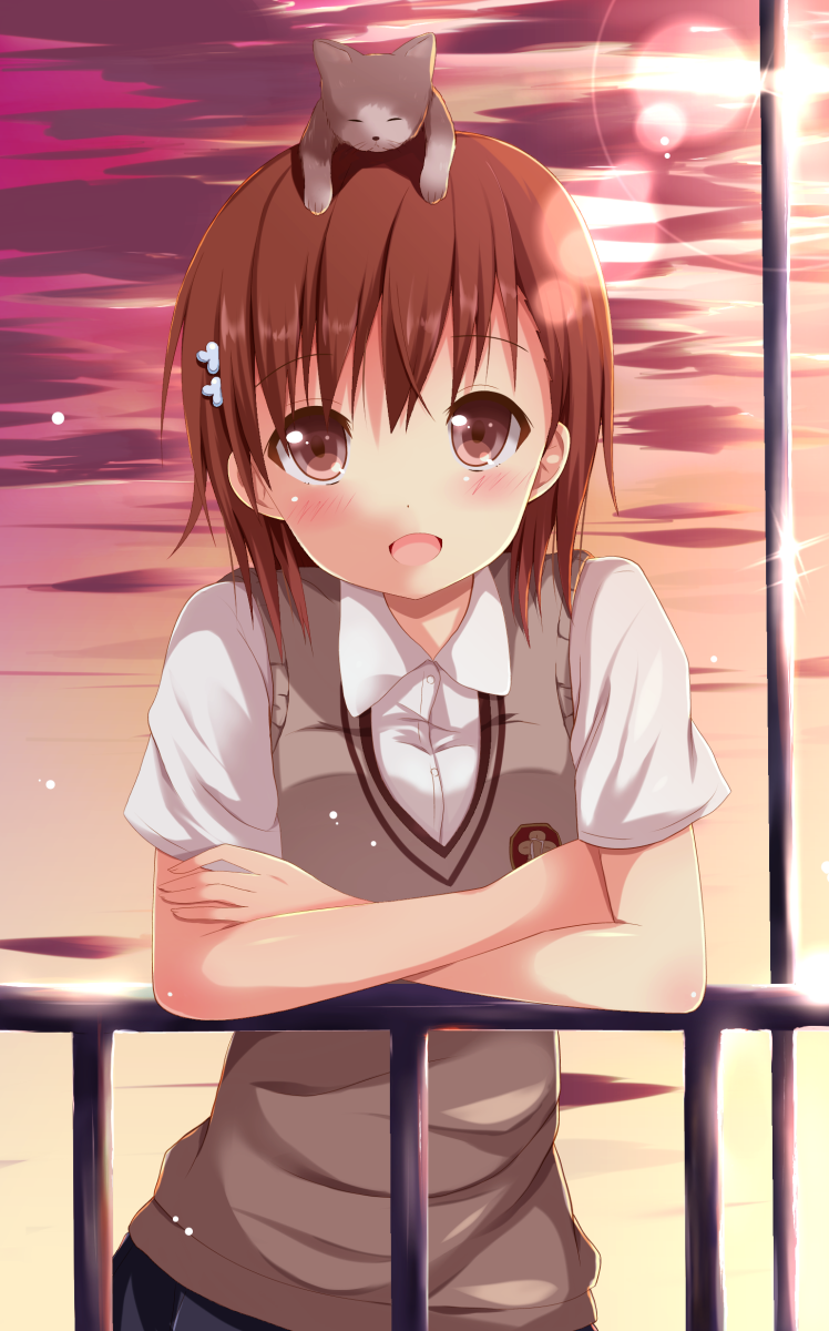 :d, again8120, animal_on_head, blush, brown_eyes, brown_hair, cat, cat_on_head