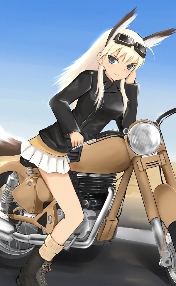 animal_ears, blonde_hair, goggles, goggles_on_head, green_eyes, hanna-justina_marseille, long_hair, long_sleeves