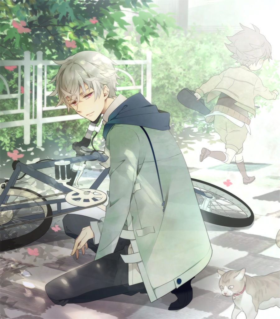 akise_aru, bicycle, cat, child, hoodie, jacket, kneeling, lirura, male, mirai_nikki, red_eyes, revision, solo, white_hair