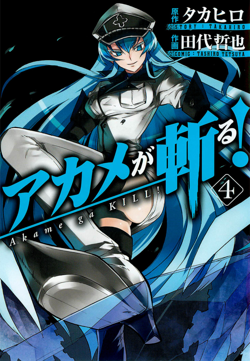 akame_ga_kill!, aqua_hair, blue_eyes, boots, breasts, cover, cover_page, esdese