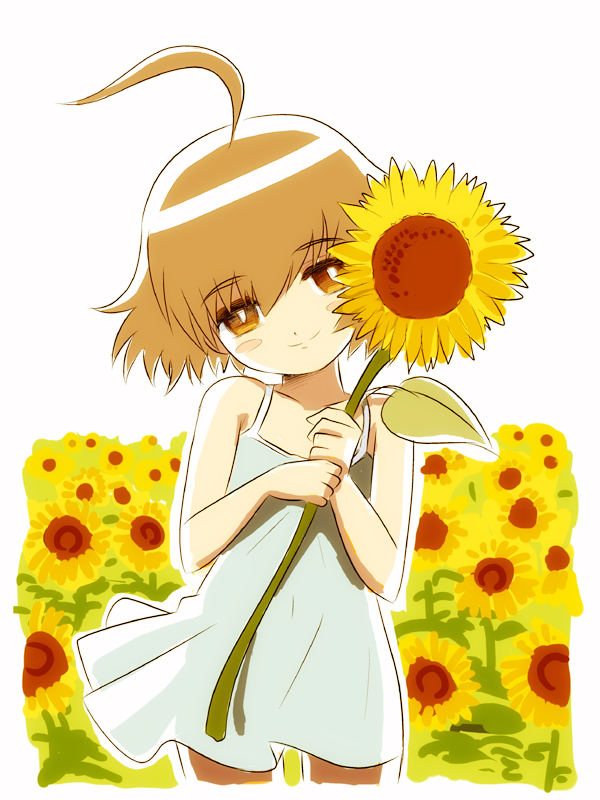 blush_stickers, brown_hair, child, dress, flower, flower_field, jitsudan, last_order