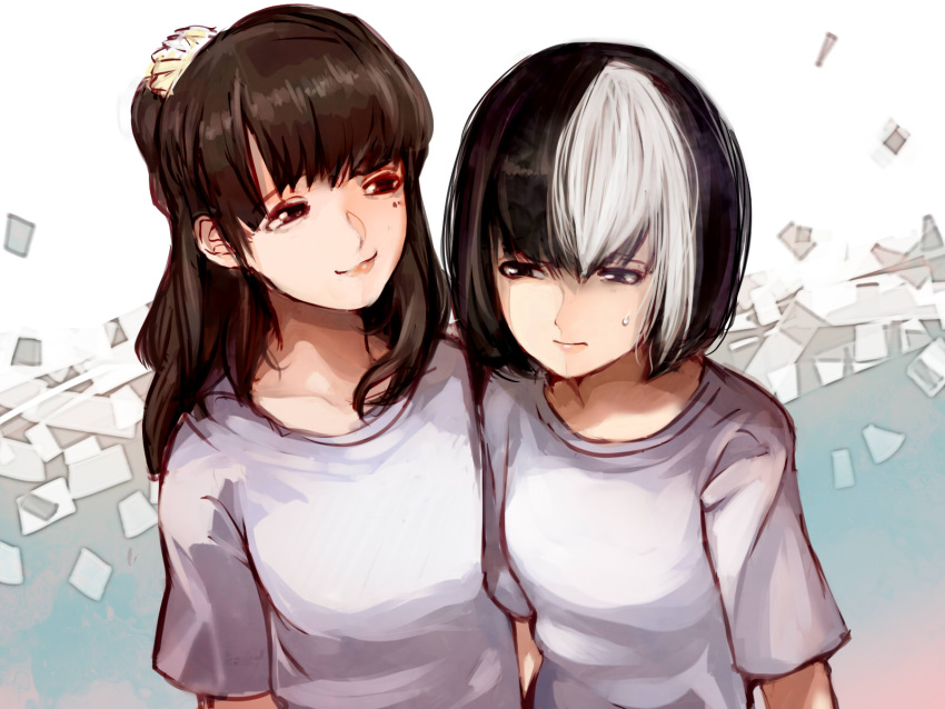 akumu-chan, black_hair, bob_cut, brown_hair, highres, koto_yuiko, long_hair, multicolored_hair, multiple_girls, mutio_ayami, mutoi_ayami, nonko_(pgup), short_hair, side-by-side, silver_hair, sweatdrop, t-shirt, two-tone_hair