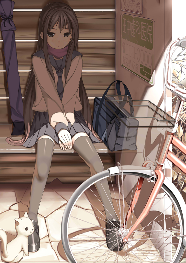 bag, basket, bicycle, bike, black_eyes, black_hair, black_legwear, bus_stop, cat, kinugasa_yuuichi, loafers, long_hair, original, scarf, school_uniform, shadow, shoes, shoulder_bag, sitting, skirt, solo, sword_bag, thigh-highs, thighhighs, translation_request, v_arms, zettai_ryouiki