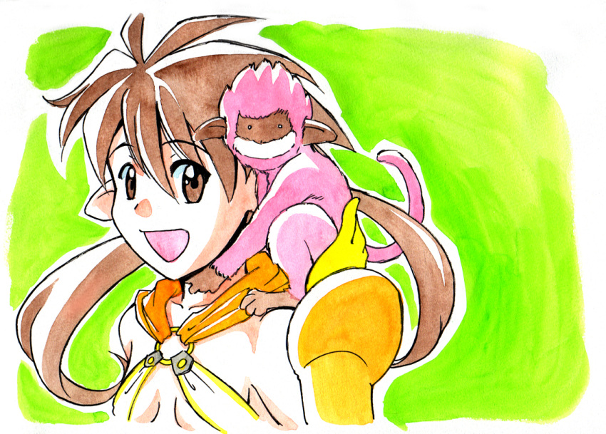 1girl, brown_eyes, brown_hair, caracol, looking_at_viewer, monkey, nowa, on_shoulder