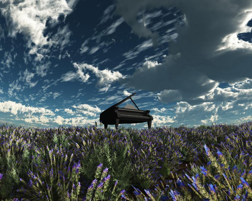 clouds, colorful, grass, instrument, lavender_(flower), nature, no_humans, original