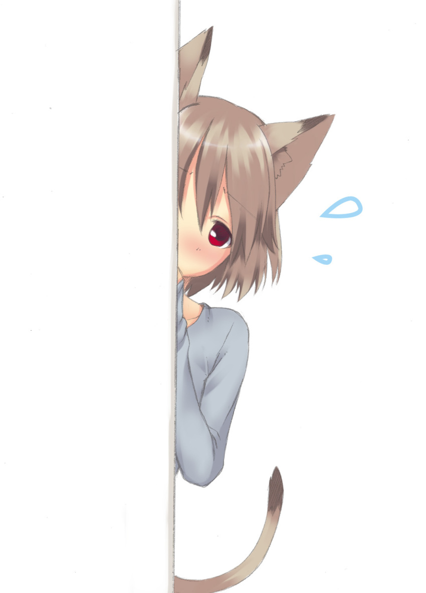 1girl, animal_ears, blush, brown_hair, cat_ears, cat_tail, copyright_request, flying_sweatdrops