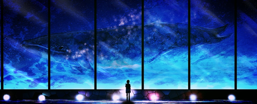 1boy, animal, aquarium, from_behind, glass, harada_miyuki, original, silhouette