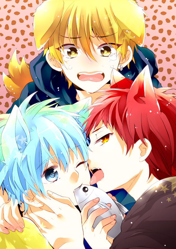 3boys, akashi_seijuurou, animal_ears, blonde_hair, blue_eyes, blue_hair, cat_ears, cheek_licking