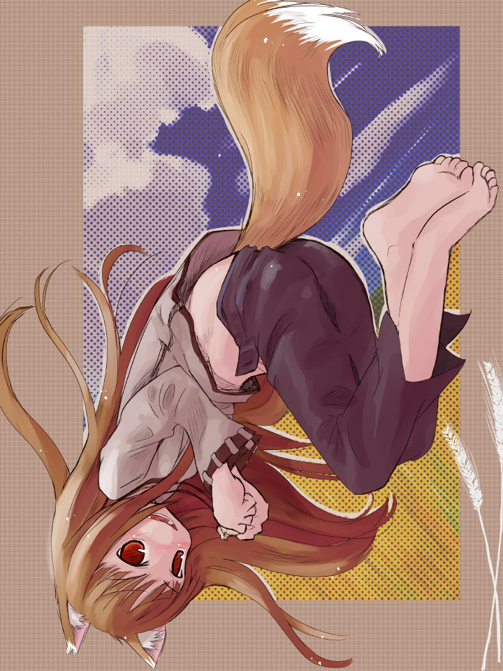 barefoot, blush, brown_hair, cloud, clouds, feet, holo, horo, long_hair, midriff, mtr, pants, red_eyes, sky, smile, soles, solo, spice_and_wolf, tail, toes, upside-down, wheat, wolf_ears, wolf_tail