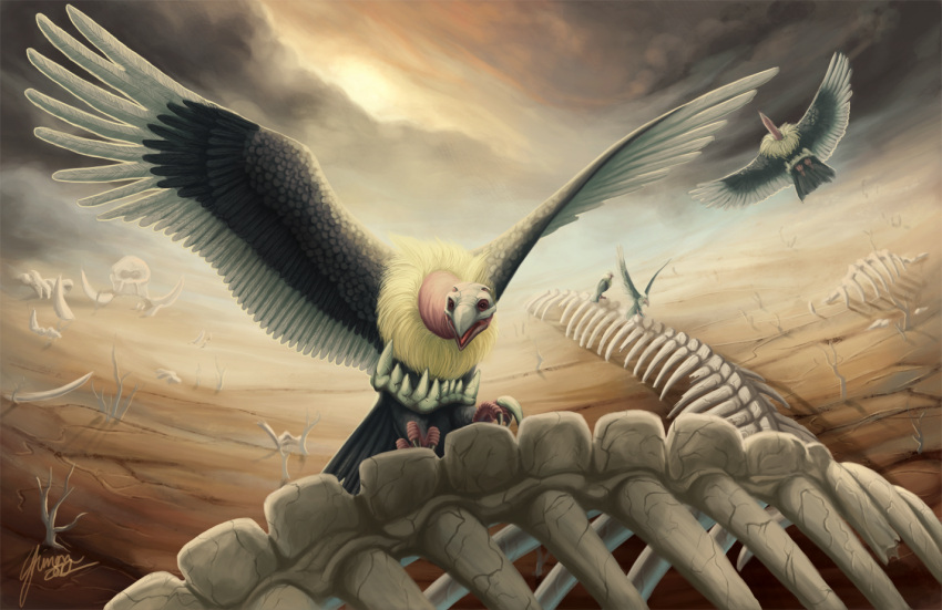 bone, cloud, clouds, creature, desert, flying, mandibuzz, no_humans