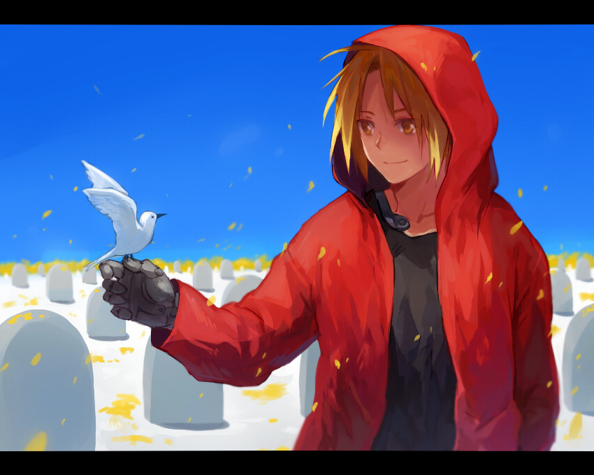 1boy, ahoge, bird, blonde_hair, edward_elric, fullmetal_alchemist, graves, hoodie