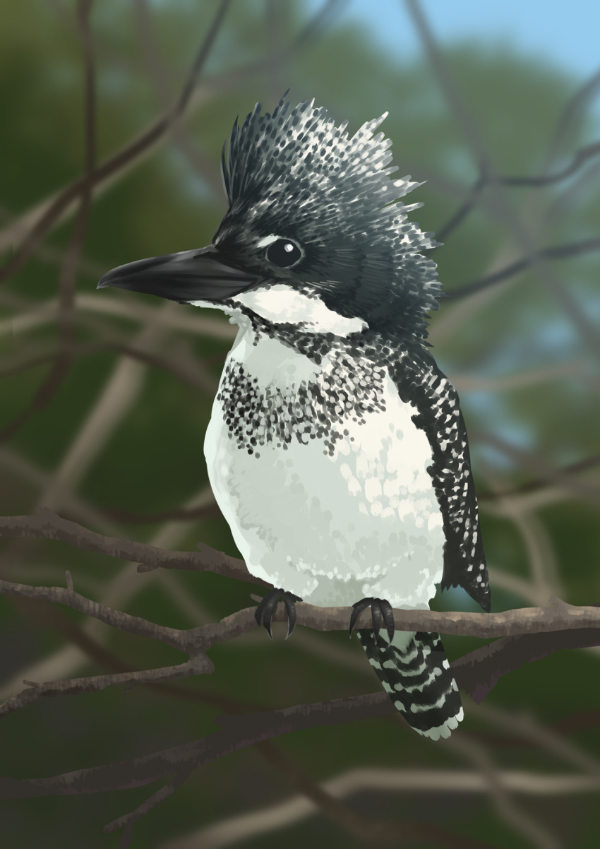 bird, crested_kingfisher, faux_traditional_media, highres, kingfisher, kuro_oolong, no_humans, original