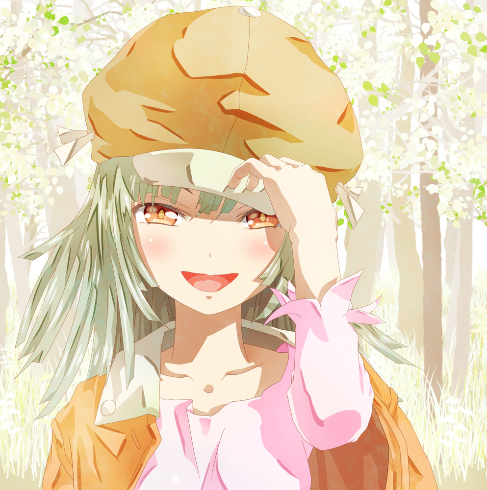 1girl, bakemonogatari, brown_eyes, cabbie_hat, green_hair, hat, monogatari_(series), nanatsuya, open_mouth, sengoku_nadeko, short_hair