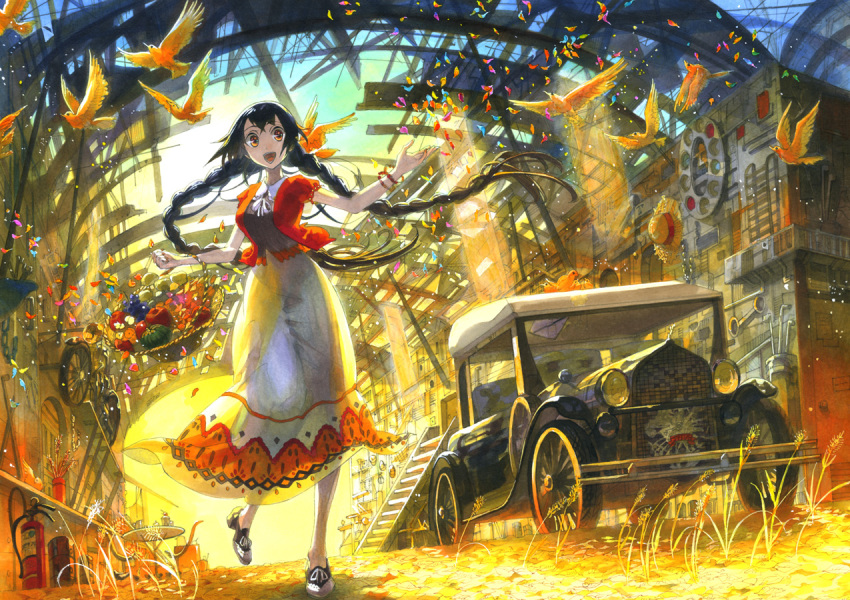 1girl, artist_request, basket, bird, black_hair, braid, car, dress