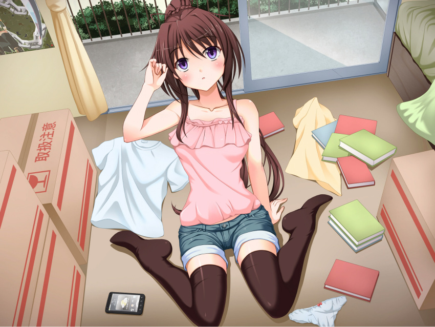 1girl, brown_hair, long_hair, original, panties, solo, thigh-highs, underwear
