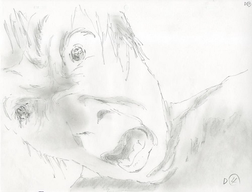 animator_expo, genga, nishi-ogikubo, production_materials, shinya_ohira