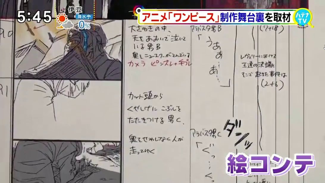 megumi_ishitani, one_piece, production_materials, storyboard