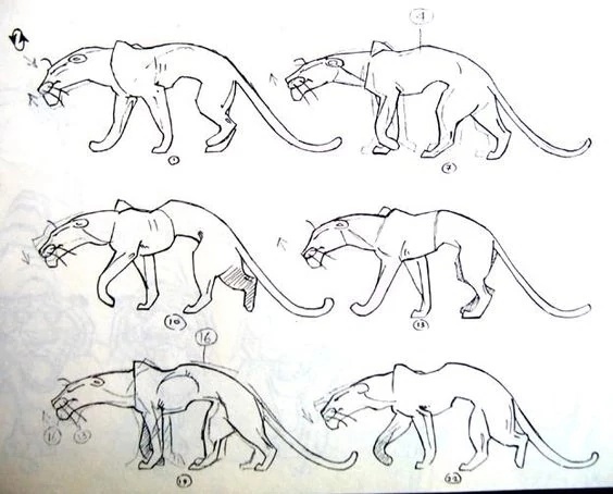 animals, character_acting, creatures, genga, mowgli_(1967-1971), production_materials, roman_davydov, western
