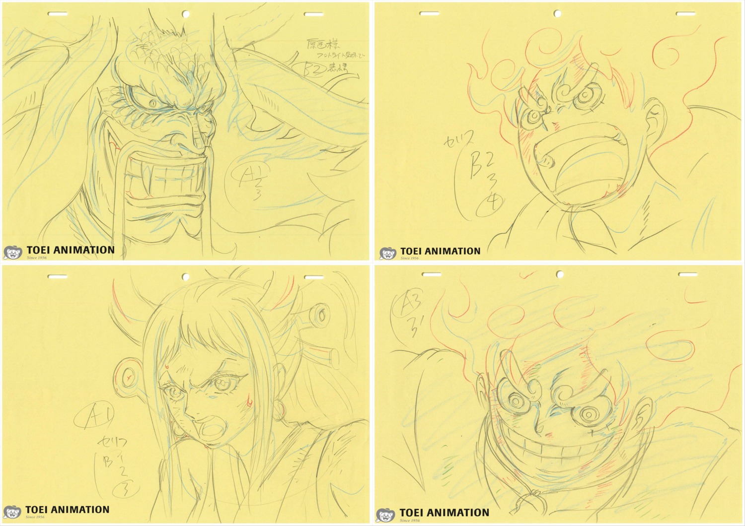 correction, mamoru_yokota, one_piece, production_materials