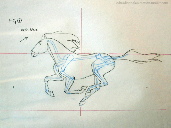 animals, animated, creatures, genga, james_baxter, production_materials, running, spirit:_stallion_of_the_cimarron, walk_cycle, western
