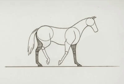 animals, animated, creatures, neil_boyle, presumed, richard_williams, the_animator's_survival_kit, walk_cycle