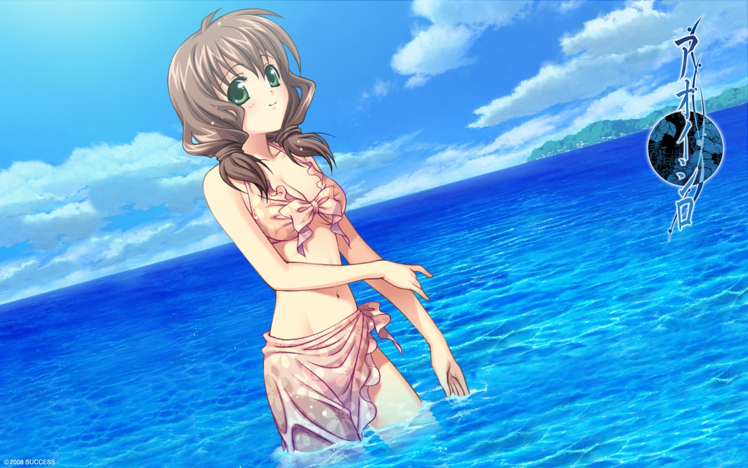 aizawa_yasumi, aoi_shiro, bikini, cleavage, hal, success, swimsuits, wallpaper