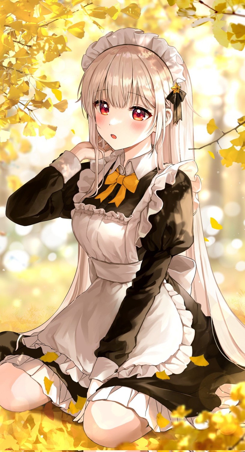 maid, poddo_(potto)
