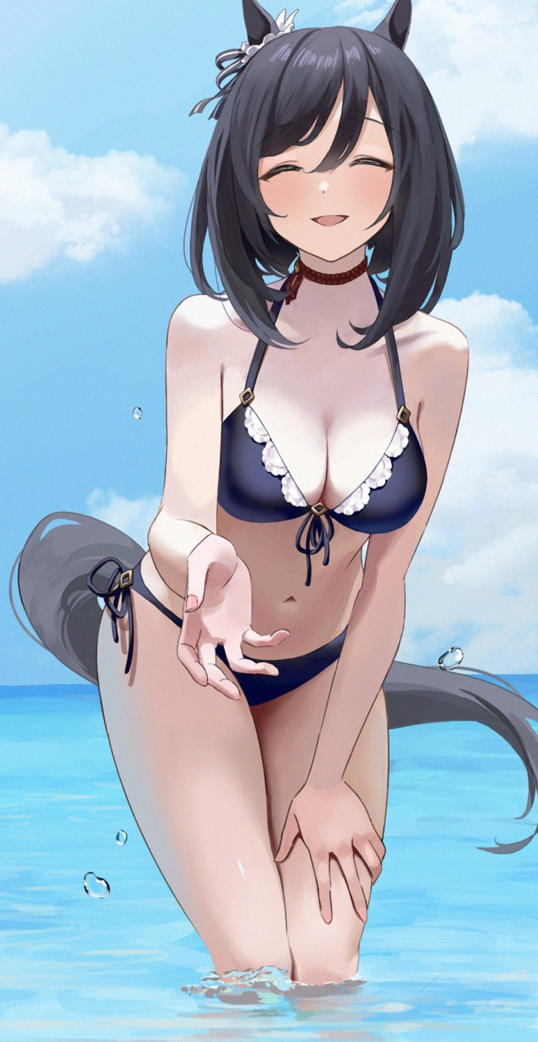 animal_ears, bikini, eishin_flash_(umamusume), hoshinopurin, swimsuits, tail, uma_musume_pretty_derby, wet