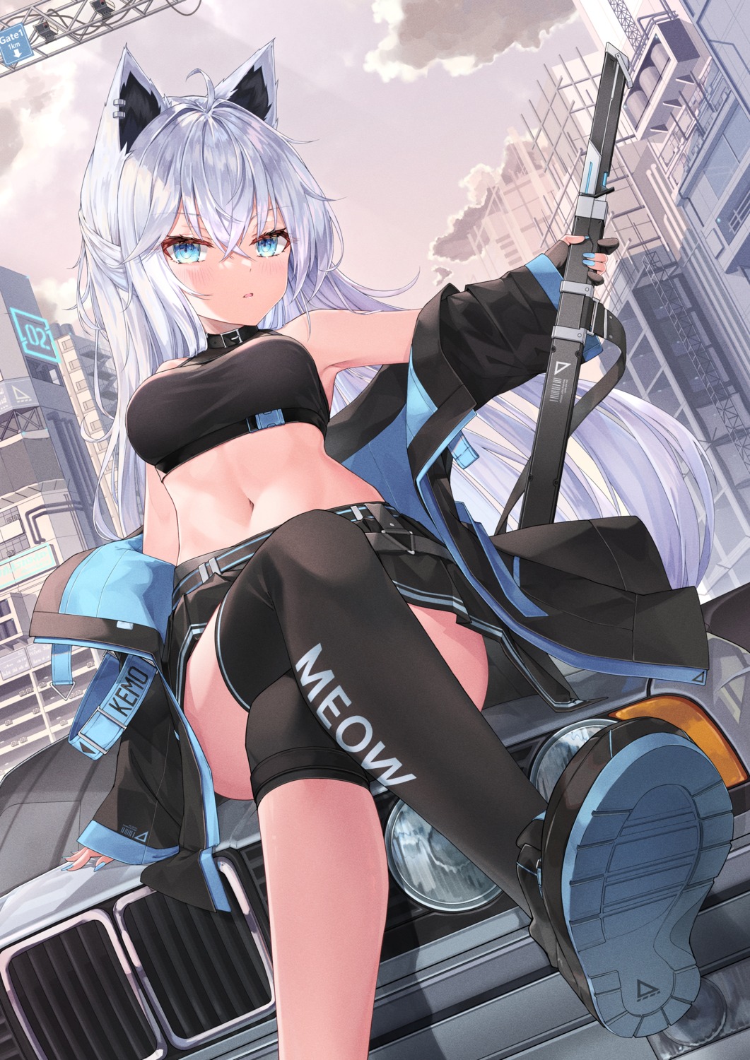 animal_ears, nekomimi, sword, thighhighs, yeosi