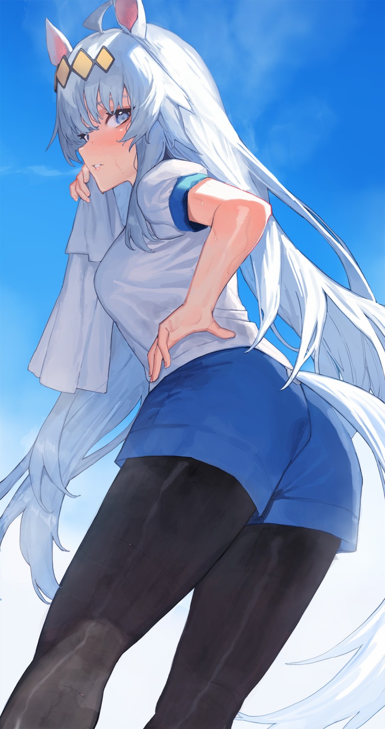 animal_ears, ass, gym_uniform, oguri_cap_(umamusume), pantyhose, tail, tunamayo_(dsasd751), uma_musume_pretty_derby, wet