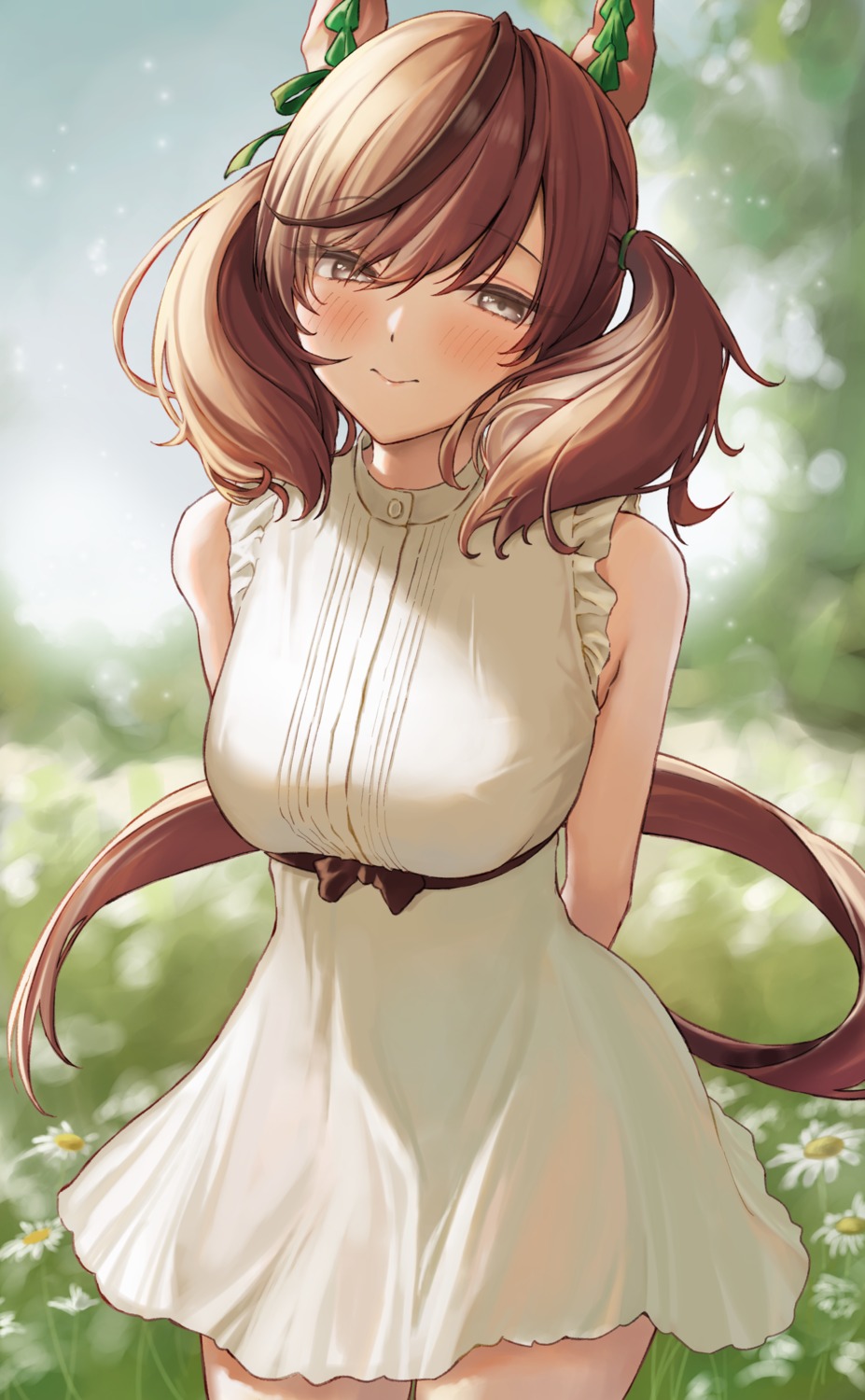 animal_ears, dress, huziko, nice_nature_(umamusume), see_through, tail, uma_musume_pretty_derby