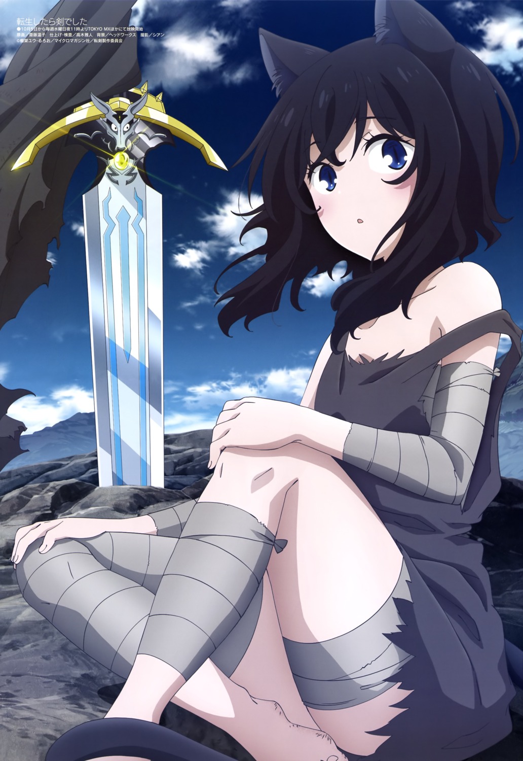 animal_ears, bandages, dress, fran_(tenken), nekomimi, no_bra, saitou_atsuko, shishou_(tenken), skirt_lift, sword, tail, tensei_shitara_ken_deshita, torn_clothes
