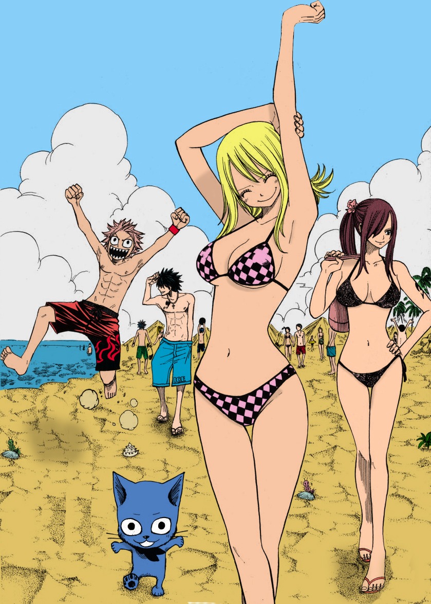 bikini, cleavage, erza_scarlet, fairy_tail, gray_fullbuster, happy_(fairy_tail), jpeg_artifacts, lucy_heartfilia