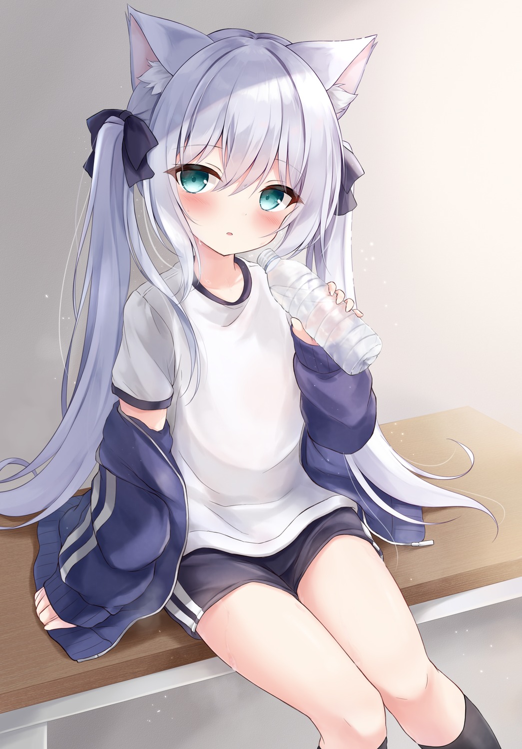 animal_ears, gym_uniform, kata_rosu, nekomimi