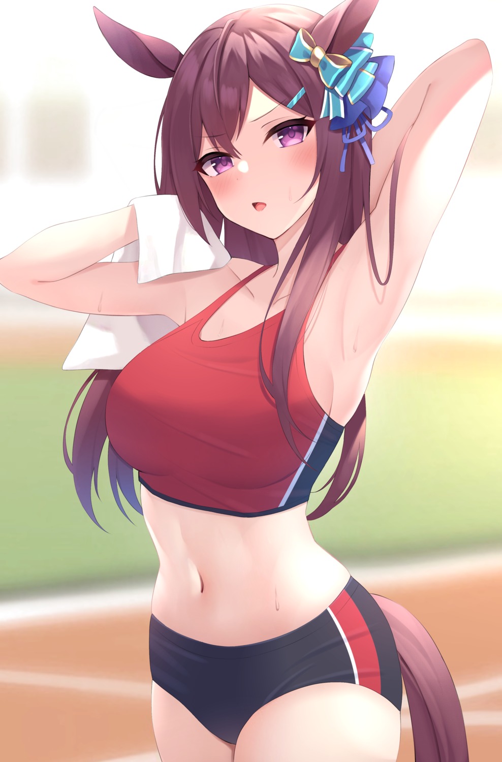 animal_ears, buruma, decision5021, gym_uniform, mejiro_dober_(umamusume), tail, uma_musume_pretty_derby