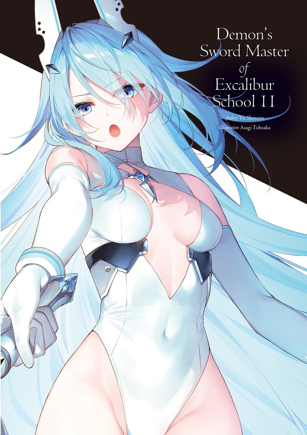 leotard, schwertileite_terminate, seiken_gakuin_no_maken_tsukai, toosaka_asagi