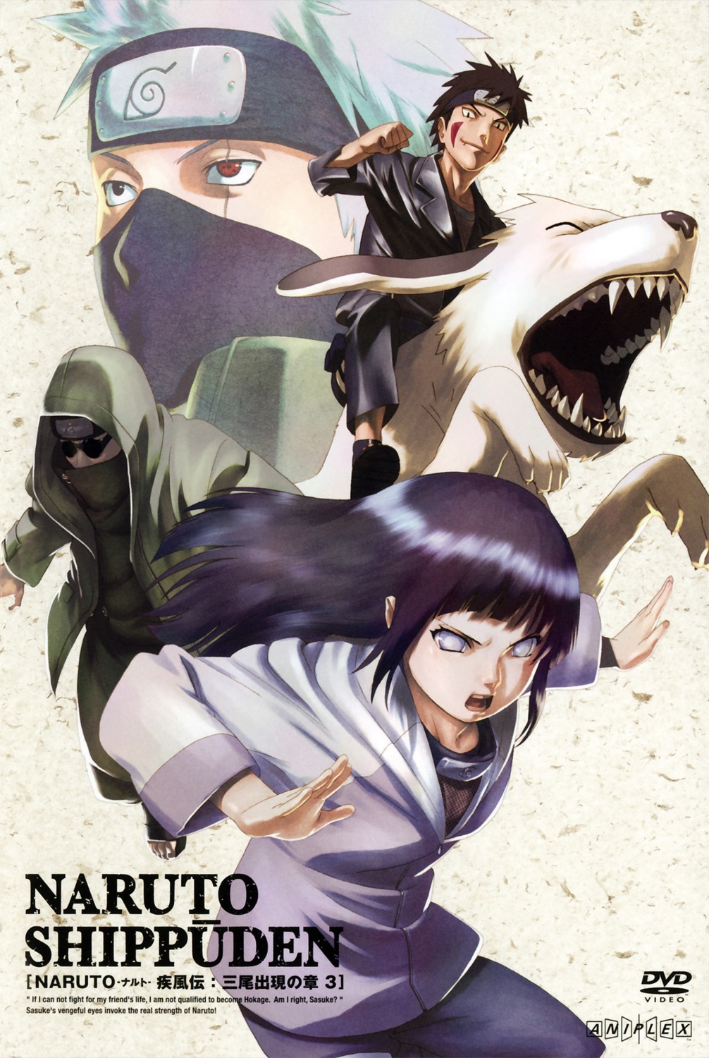 aburame_shino, akamaru_(naruto), hatake_kakashi, hyuuga_hinata, inuzuka_kiba, naruto, suzuki_hirofumi