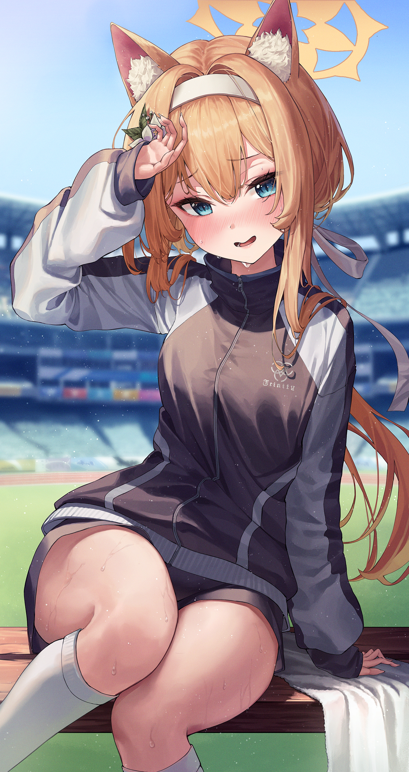 animal_ears, blue_archive, gym_uniform, halo, iochi_mari, nekomimi, tem
