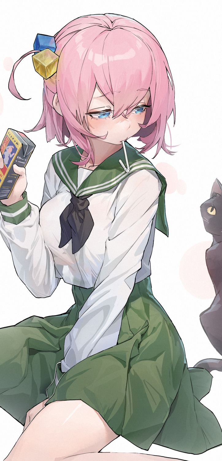 bocchi_the_rock!, gotou_hitori, han_keshi_chao_mang_de, neko, seifuku
