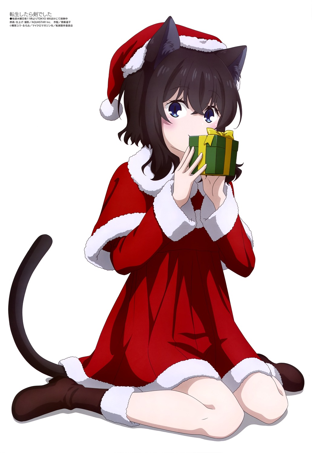 animal_ears, aquastar_inc., christmas, dress, fran_(tenken), nekomimi, tail, tensei_shitara_ken_deshita