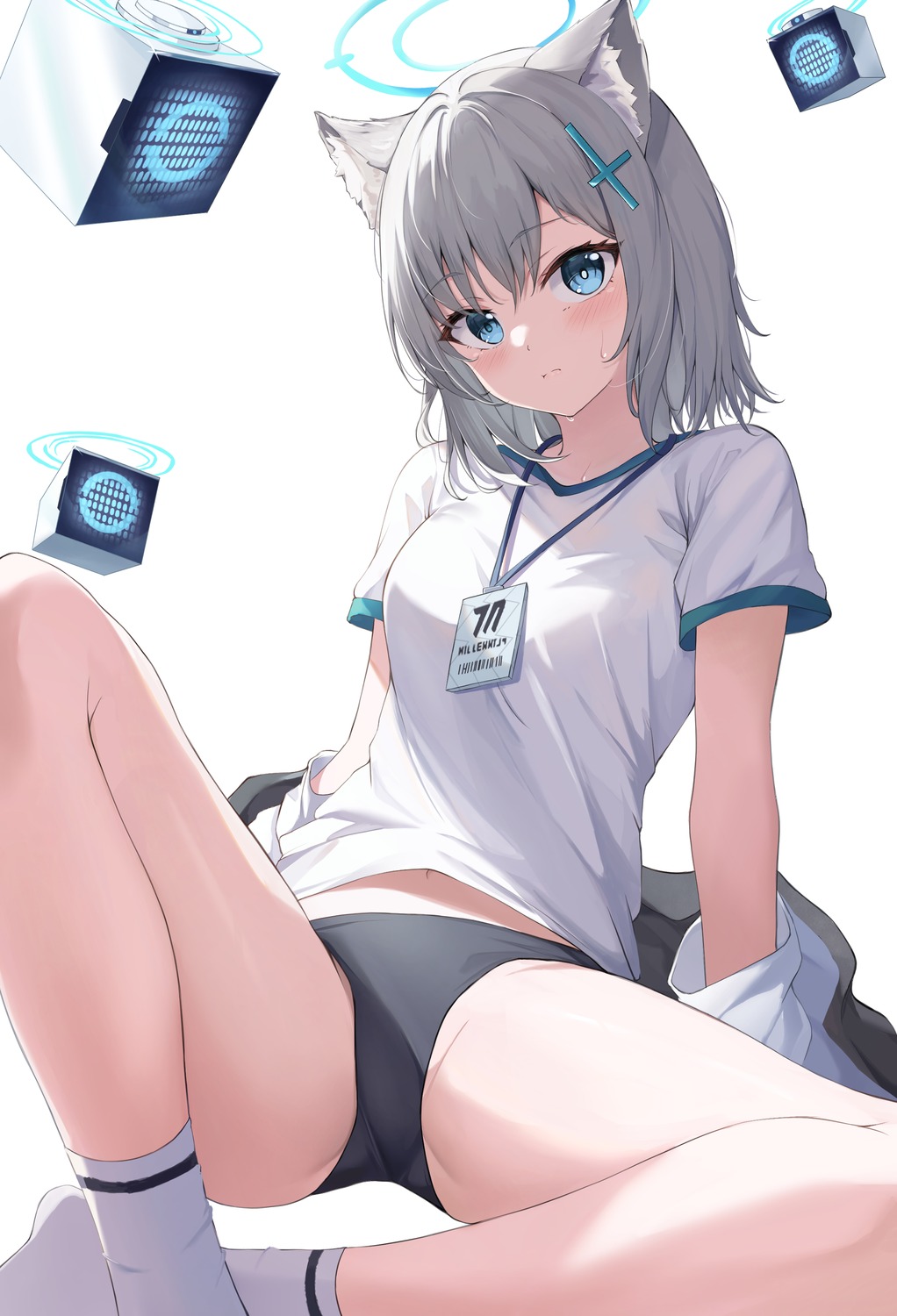 animal_ears, blue_archive, buruma, gym_uniform, halo, nekomimi, sunaookami_shiroko, zeroillya